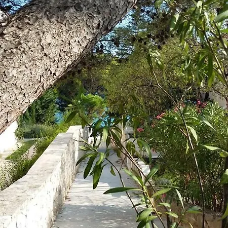 Apartman Beni Bol